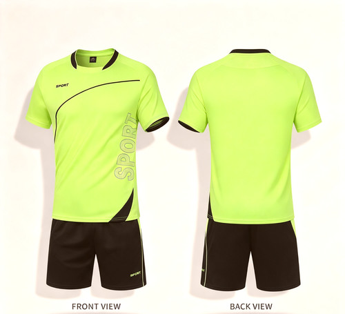 Team kit light green sports - team,